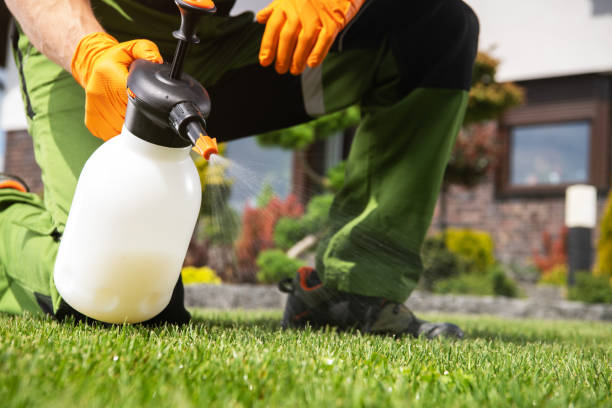  Washington Terrace, UT Pest Control Pros
