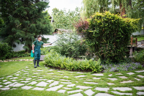 Best Pest Removal Services  in Washington Terrace, UT
