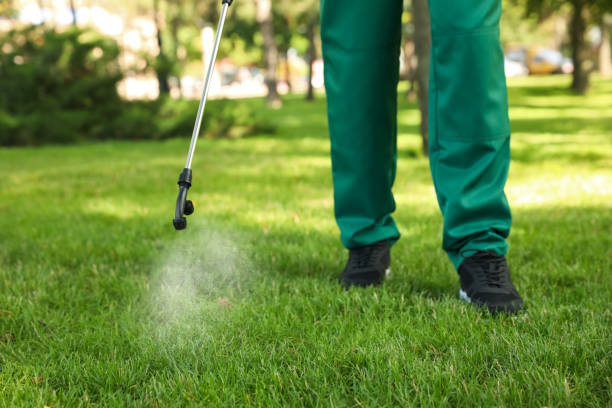 Best Termite Control Services  in Washington Terrace, UT