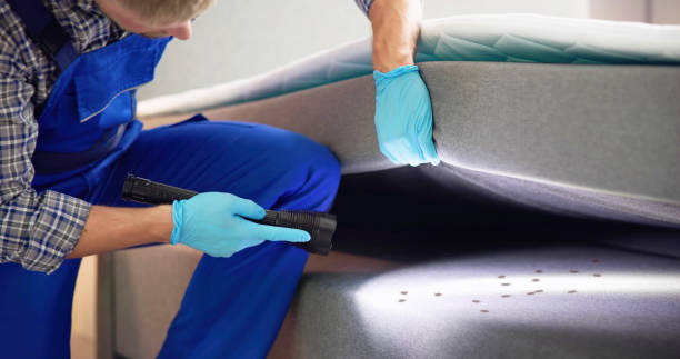 Best Best Pest Control Companies  in Washington Terrace, UT