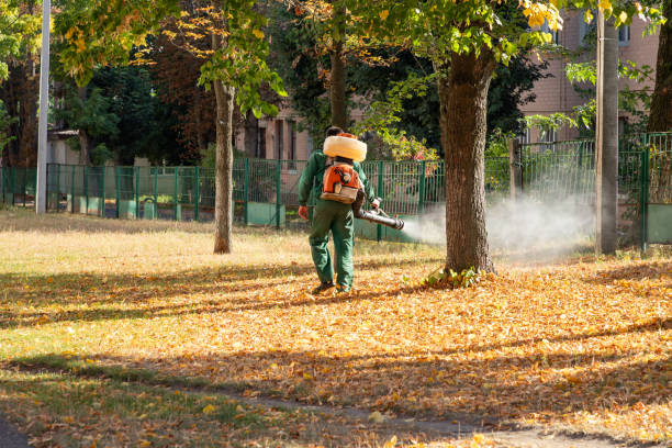 Best Residential Pest Control  in Washington Terrace, UT