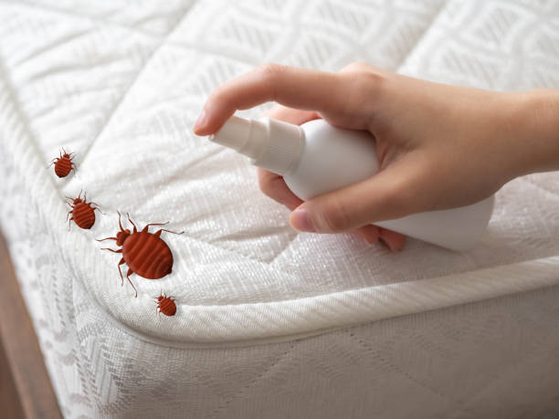 Best Ant Control Services  in Washington Terrace, UT