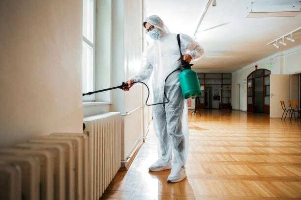 Best Affordable Pest Control Services  in Washington Terrace, UT