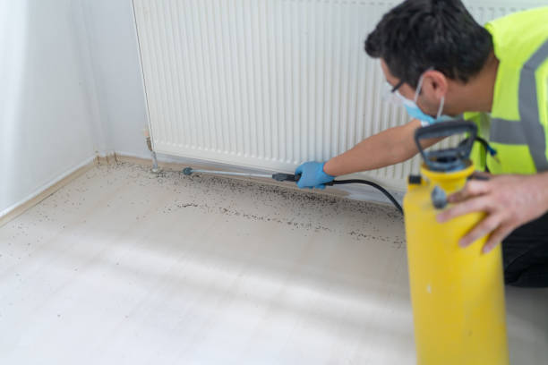 Best Emergency Pest Control  in Washington Terrace, UT