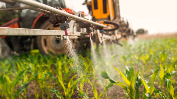 Best Mosquito Control Services  in Washington Terrace, UT